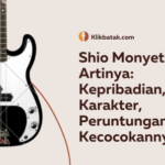 Shio Monyet Artinya: Kepribadian, Karakter, Peruntungan, dan Kecocokannya| EatDrinkVitamin